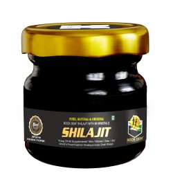 Rock Gem® Pure, Natural & Original Premium Quality Himalaya Hunza Valley Resin Shilajit, Performance Booster For Endurance and Stamina | Contains Lab Report - 30g